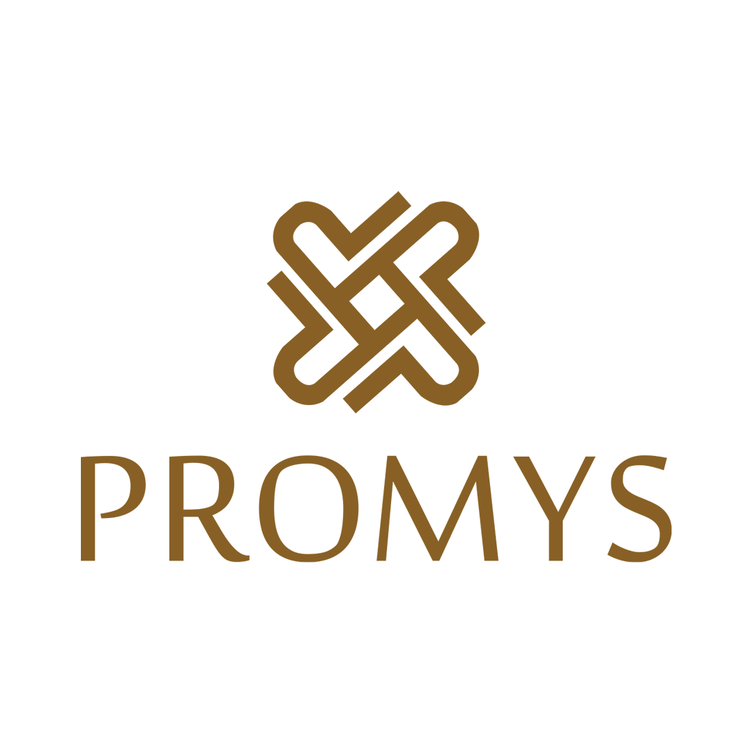 logo Promys